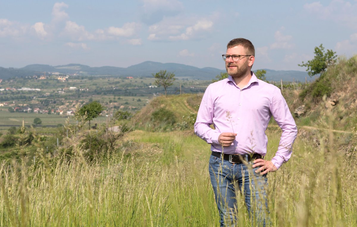 Artur Toifl begrünung 2.jpg